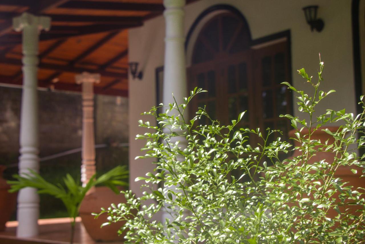 Jungle View Guesthouse Unawatuna Exterior foto